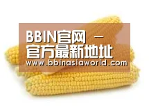 产品名称五