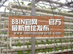 环境展示六