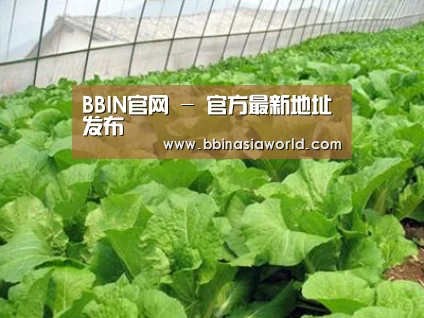 种植基地一