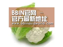 产品名称九